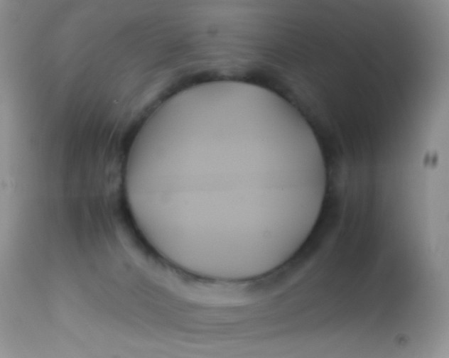 X0000113090032200909182125