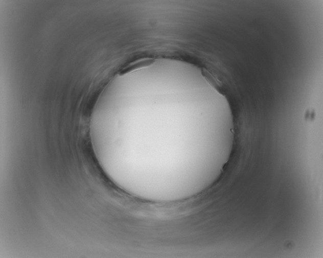 X0000113090033200909182125