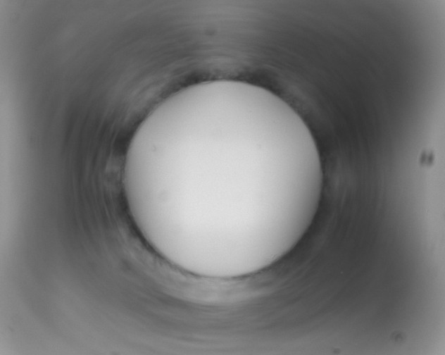 X0000113090034200909182125