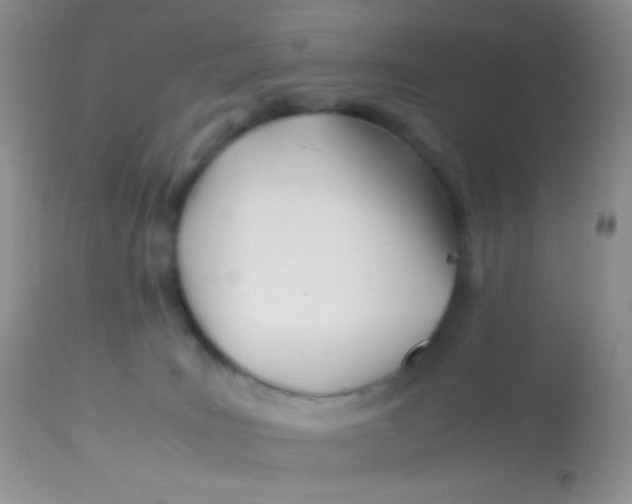 X0000113090035200909182125