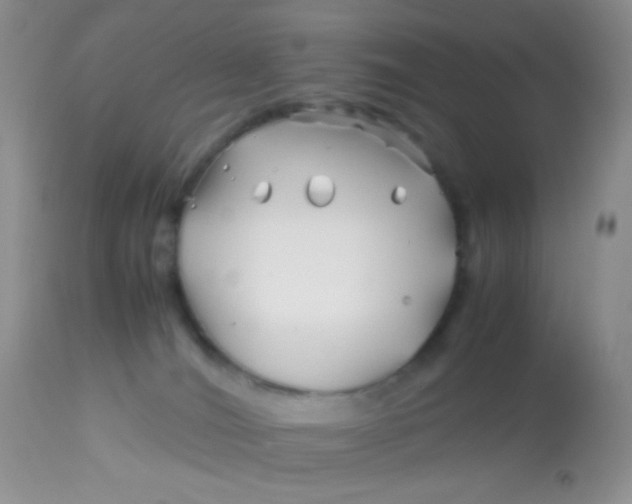 X0000113090036200909182125