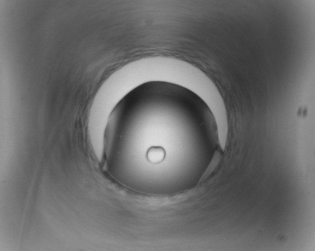 X0000113090037200909182125