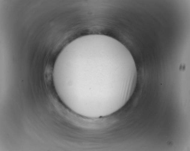 X0000113090038200909182125