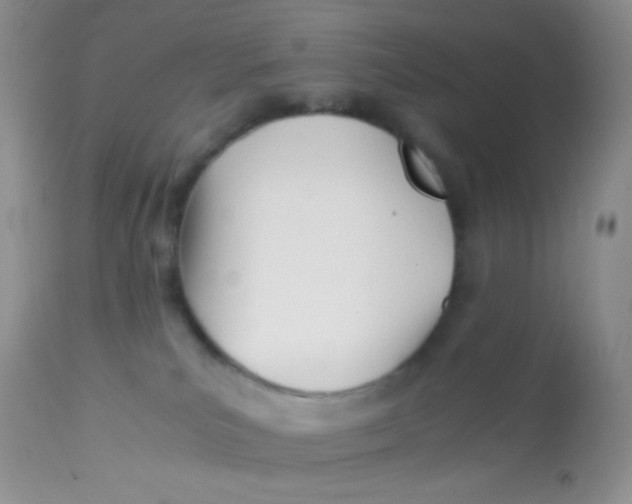 X0000113090039200909182125