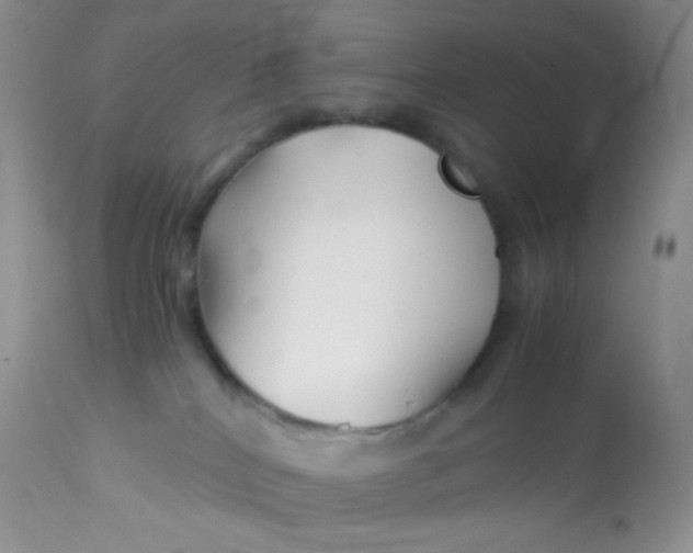 X0000113090040200909182125