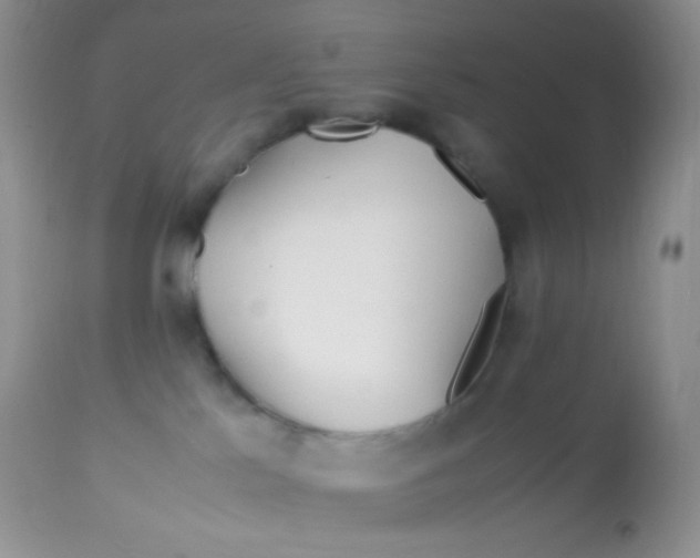 X0000113090041200909182125