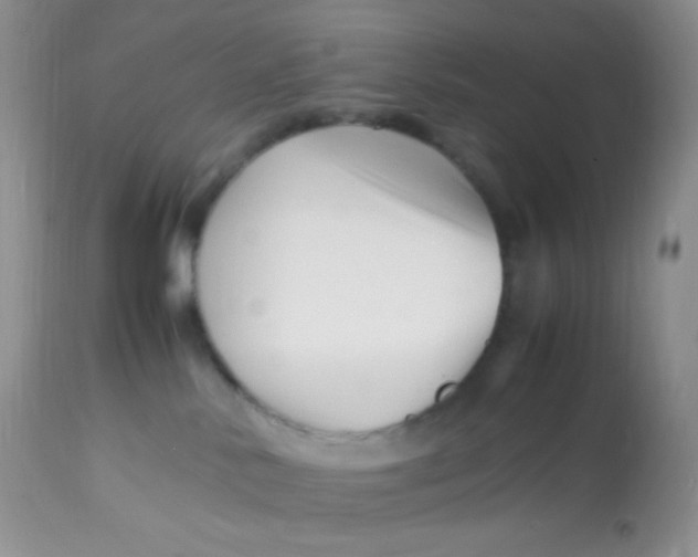 X0000113090042200909182125