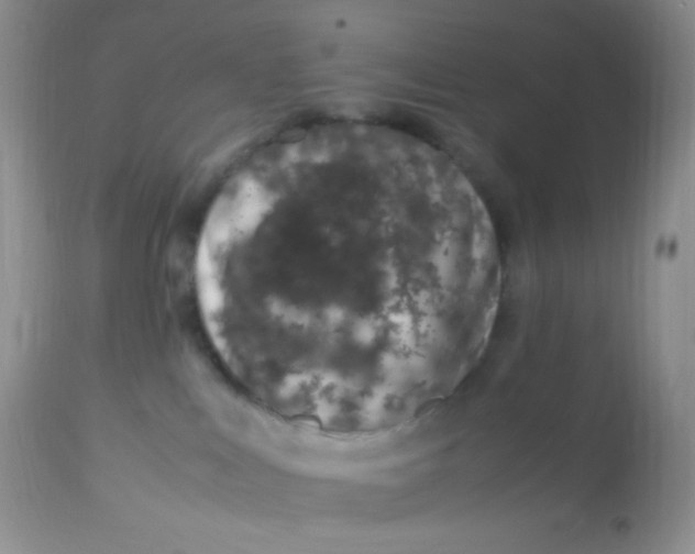 X0000113090043200909182125