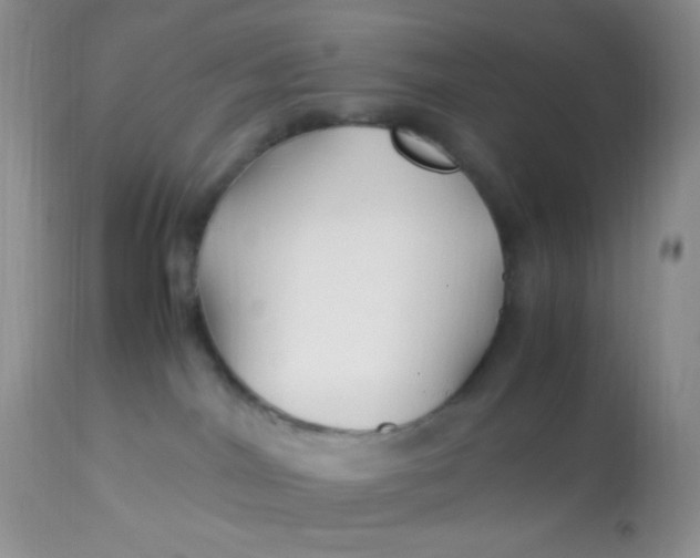 X0000113090044200909182125