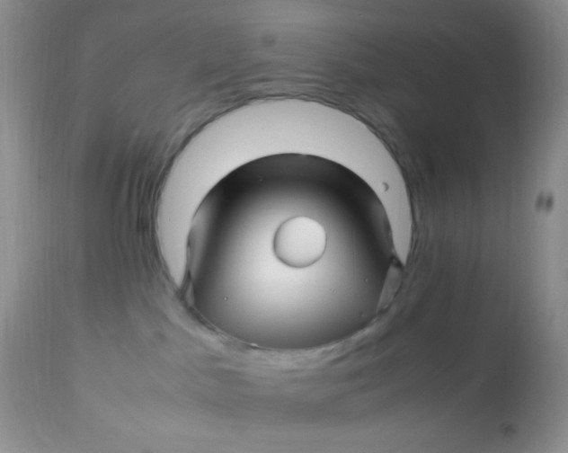 X0000113090045200909182125