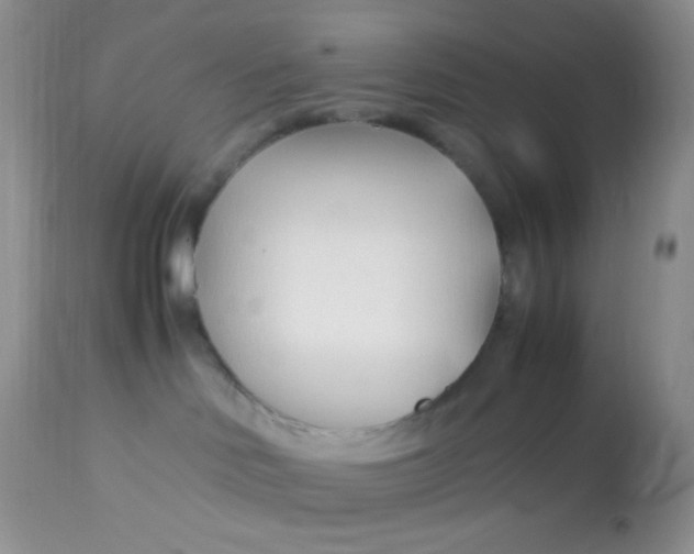 X0000113090046200909182125