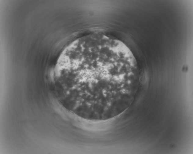 X0000113090047200909182125