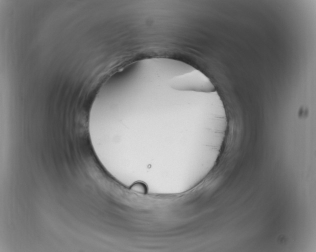 X0000113090048200909182125