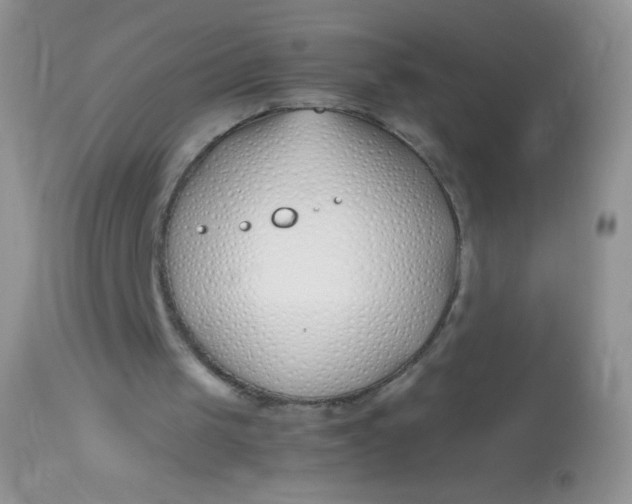 X0000113090049200909182124