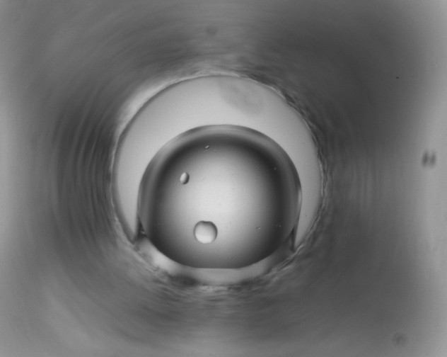 X0000113090052200909182124