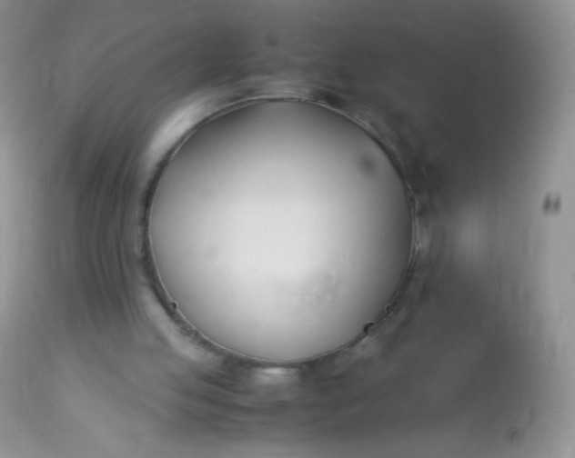 X0000113090053200909182124