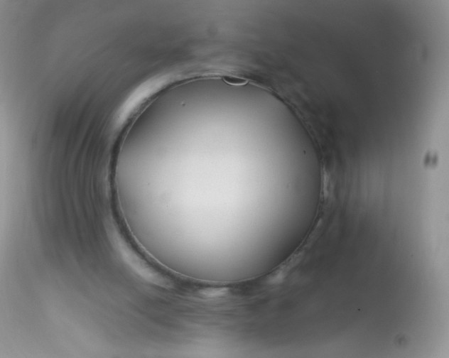 X0000113090054200909182124