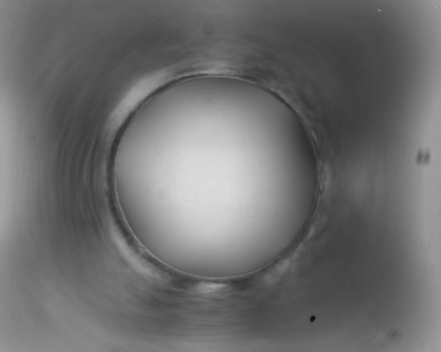 X0000113090055200909182124