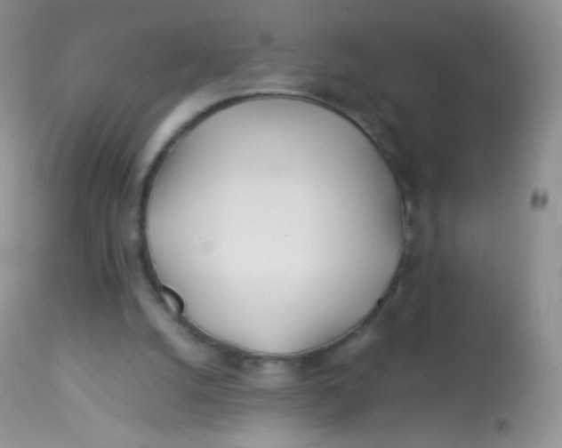 X0000113090056200909182124