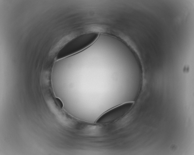 X0000113090057200909182124