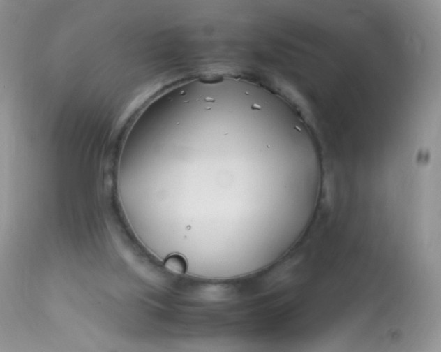 X0000113090059200909182124