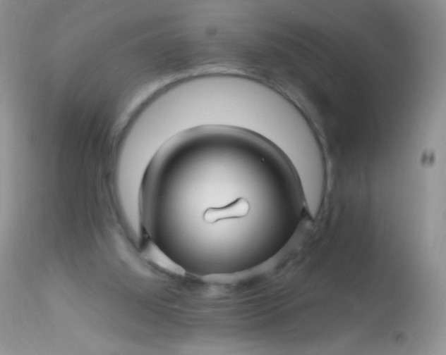 X0000113090060200909182124