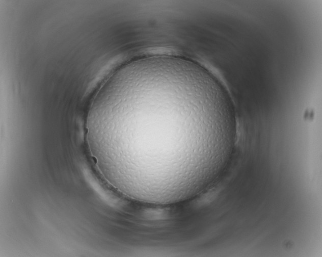 X0000113090061200909182124