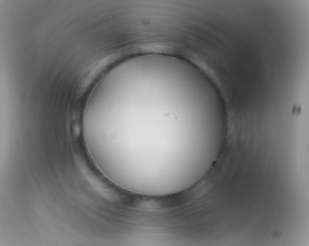 X0000113090062200909182124