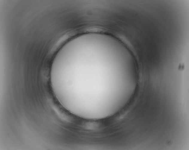 X0000113090063200909182124