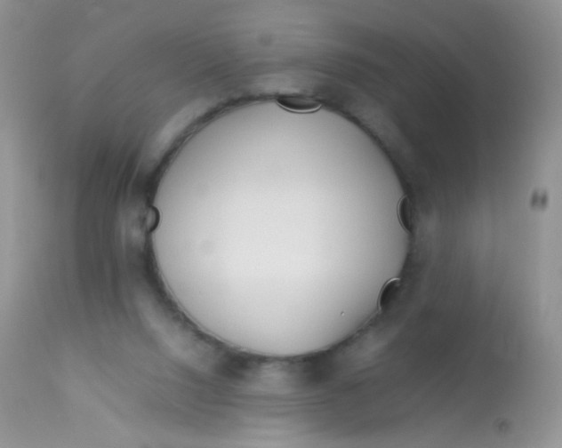 X0000113090064200909182124