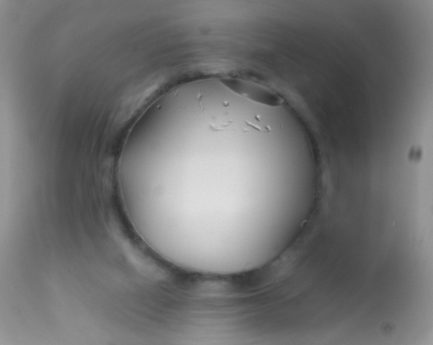 X0000113090066200909182124