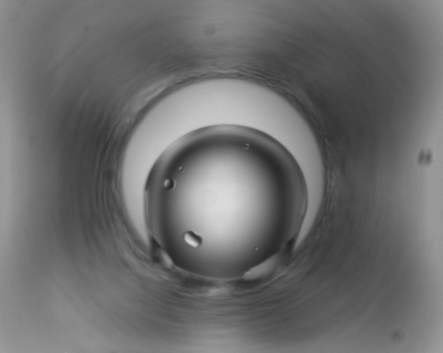 X0000113090068200909182124