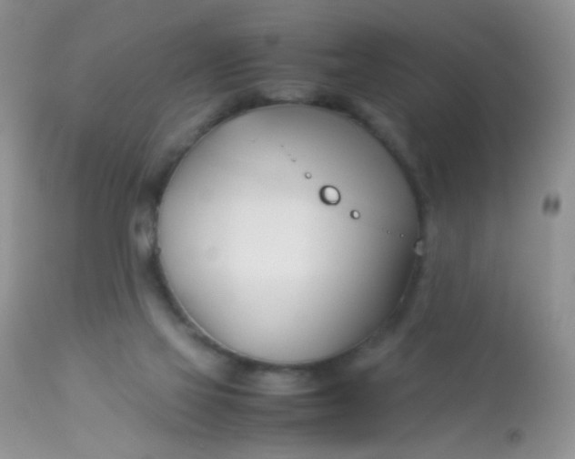 X0000113090069200909182124