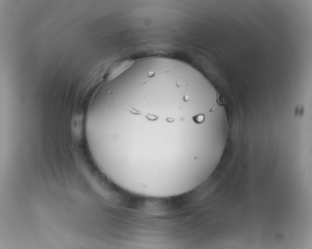 X0000113090070200909182124