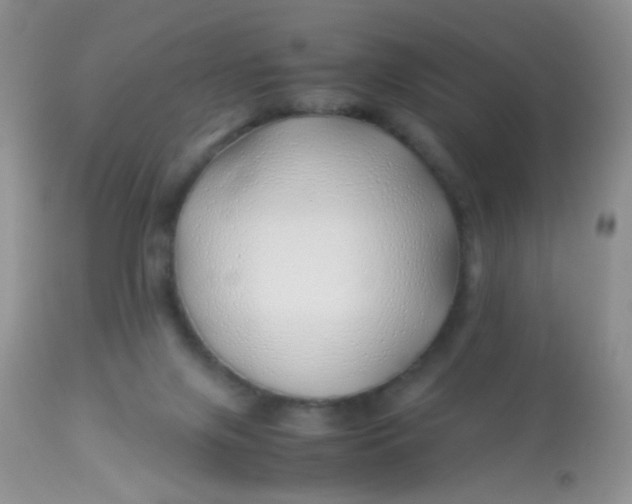 X0000113090071200909182124