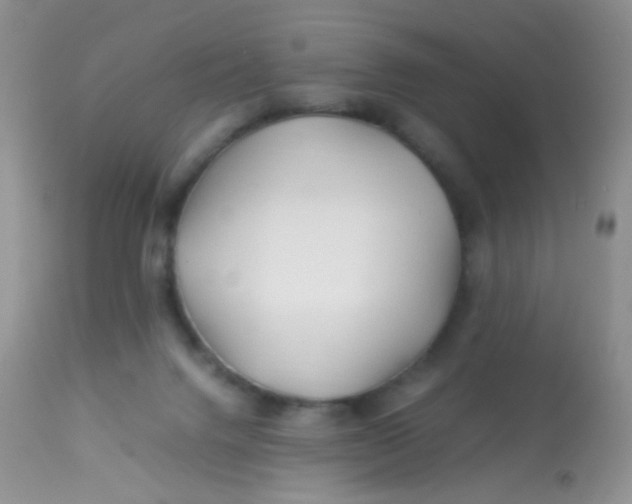 X0000113090072200909182124