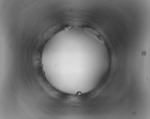 X0000113090073200909182124