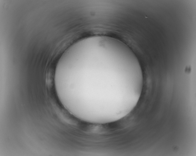 X0000113090074200909182124