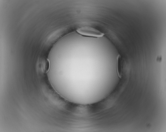 X0000113090076200909182124