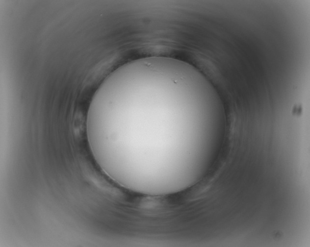 X0000113090077200909182124