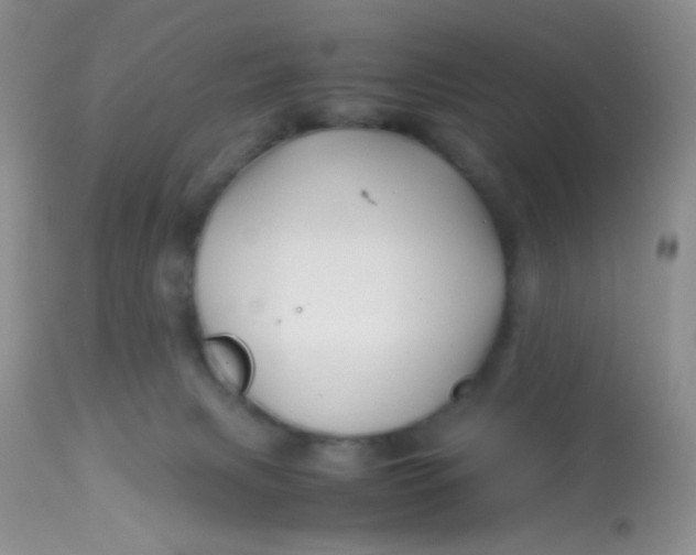 X0000113090079200909182125