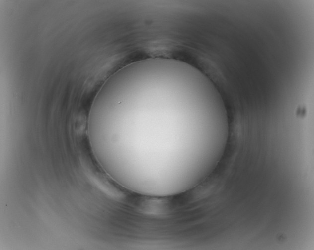 X0000113090081200909182125