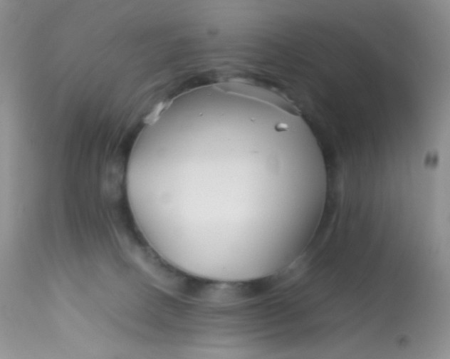 X0000113090082200909182125