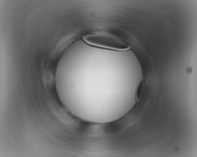 X0000113090084200909182125