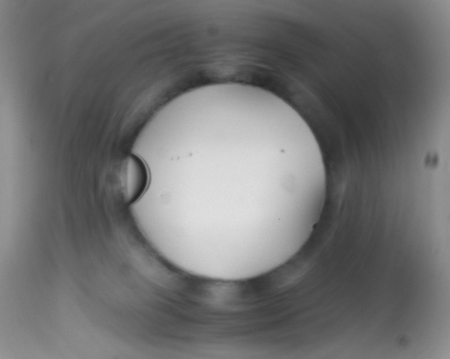 X0000113090085200909182125