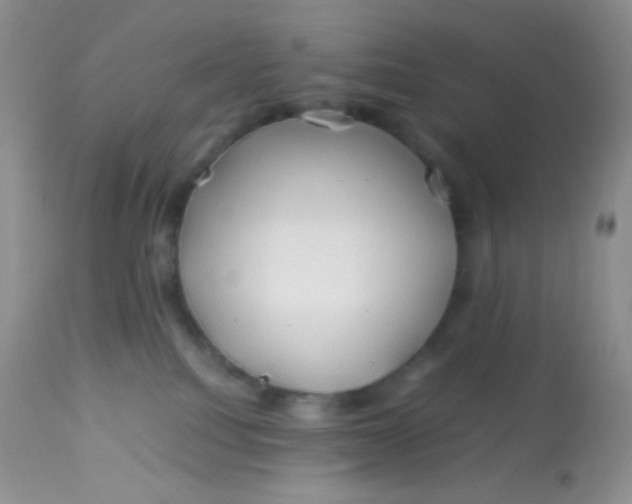 X0000113090088200909182125