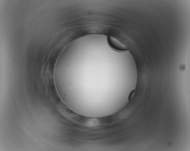 X0000113090091200909182125