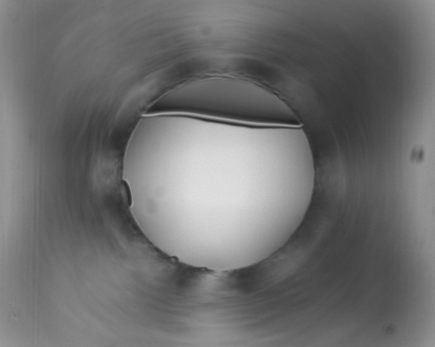 X0000113090092200909182125