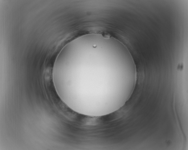 X0000113090093200909182125