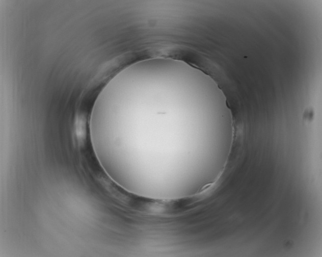 X0000113090094200909182125